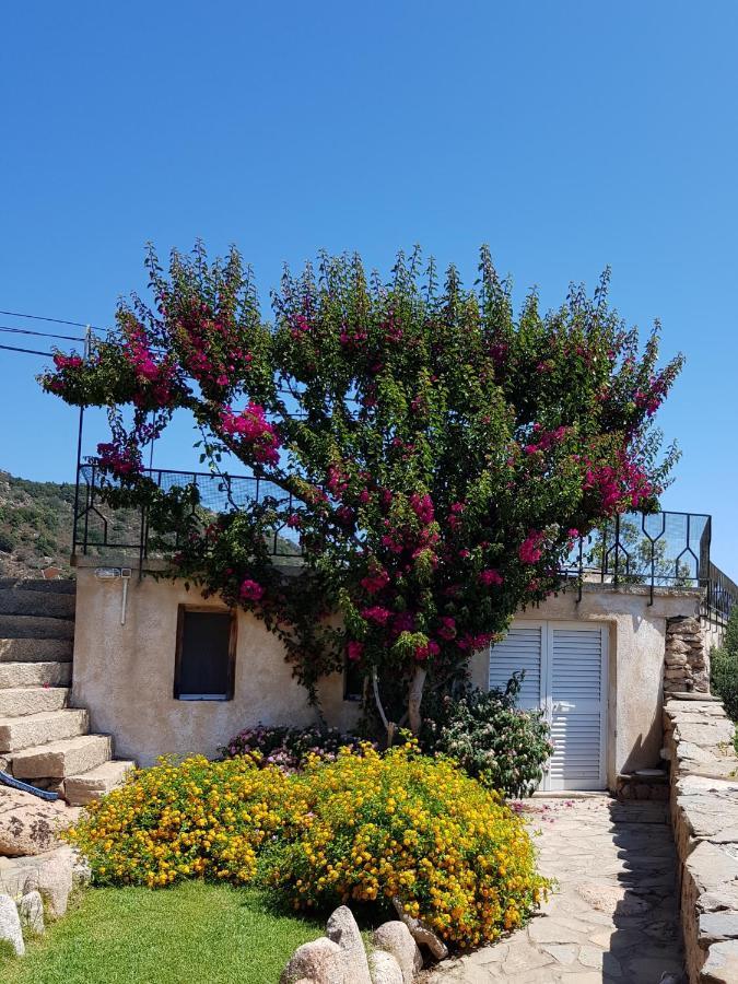 Sardinia Family Villas - Villa Carmen With Sea View And Pool Porto Cervo Extérieur photo